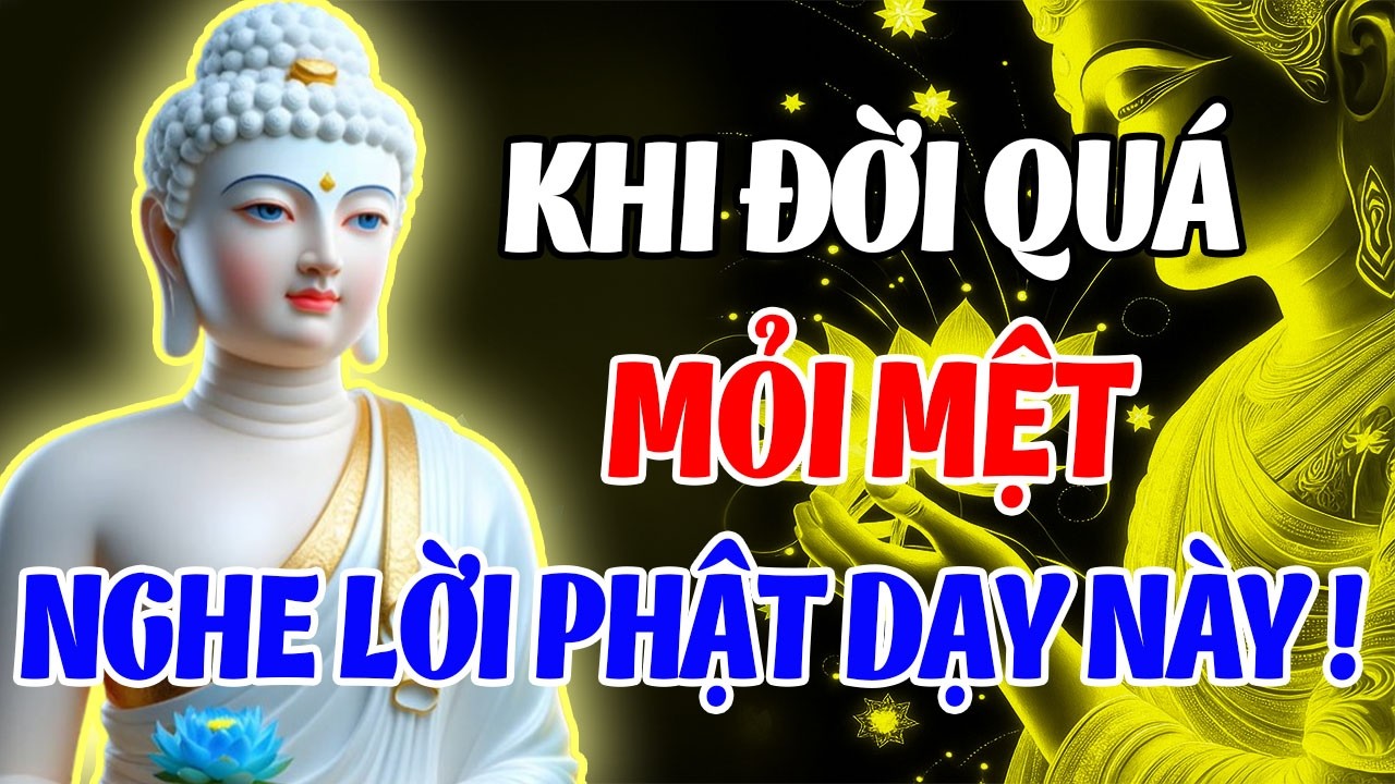 Khi Đời Quá Mỏi Mệt, Nghe Lời Phật Dạy Này – Buông Gánh Nặng, Tâm Nhẹ Như Mây