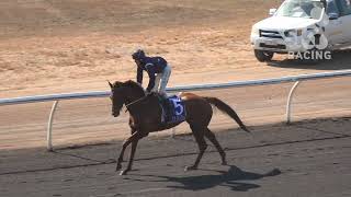 Vidéo de la course PMU PRIX MAGIC MILLIONS TOP END CLASSIC