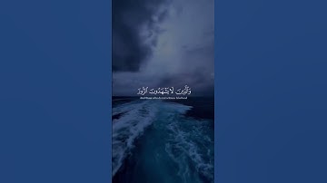 #quran #تلاوة_خاشعة #تلاوة_هادئة #راحة_نفسية #قران #قران_كريم #محمد_اللحيدان #اكسبلور #المصحف #آية