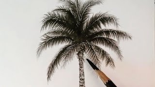How to draw palm tree step by step / Drawing for beginners /