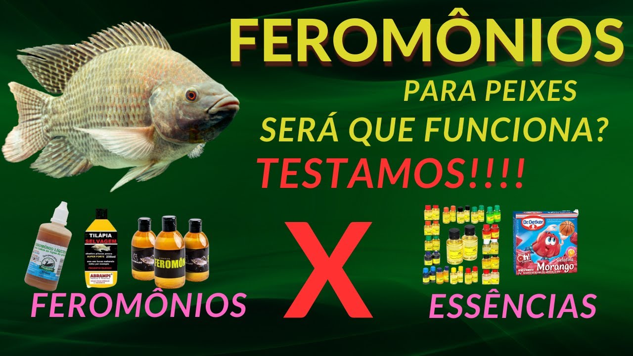 COMPARATIVO FEROMONIO CONTRA MASSINHA PARA TILAPIA