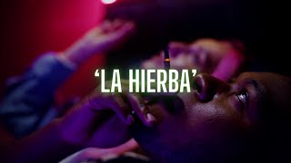 [FREE] Melodic Trap x Gunna type Beat - 'LA HIERBA'