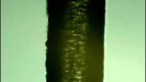 PMD Microscopic Move with High Accuracy Linear Stage & Encoder