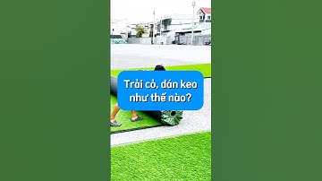 Quy trình làm sân cỏ nhân tạo: trải cỏ, dán keo như thế nào? #thicongsanconhantao