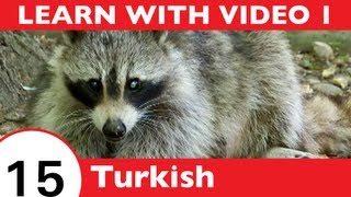 ⁣Learn Turkish with Video - Learn Awesome Turkish Forest Animal Vocabulary!