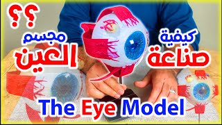 كيف تصنع مجسم العين The Eye Model How its made