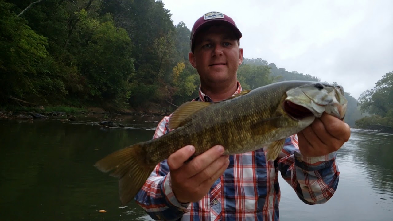 Fly fish VA 2019 YouTube