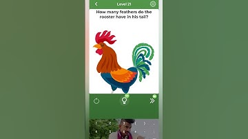 Can you find feathers of rooster? 🤔  brain over level 21 #shorts #ytshorts #gaming #puzzle