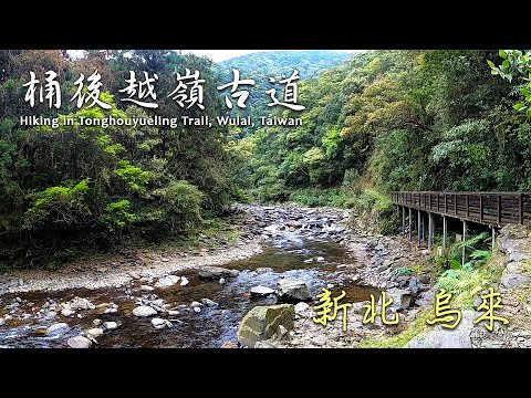 【旅遊紀事】桶後越嶺步道 烏來山區三大古道 Hiking in Tonghouyueling Trail, Taiwan