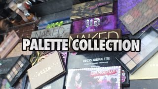 Eyeshadow Palette Collection 2016| PrettyPRChickTV screenshot 2
