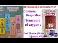 @ 8) Respiration and circulation-Internal respiration - Transport of oxygen .
