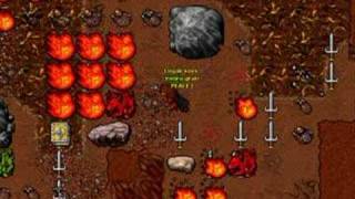 Tibia Silvera Dragon