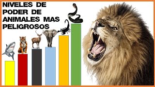 Los Animales Más Peligrosos del Mundo: Conoce a las Bestias Mortales de la Naturaleza by Magmar Oficial 5,845 views 1 year ago 19 minutes