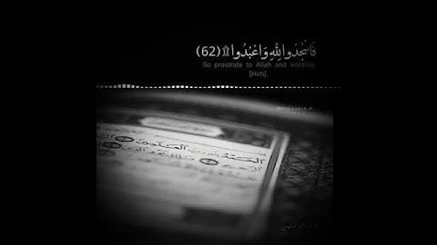 حالات واتس اب دينيه (ماتيسر من سورة النجم)للشيخ احمد النفيس)💔🥺