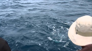 Con Dao 4 - March 2012 - Bè Trang Jig