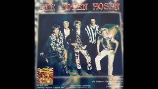 Watch Die Toten Hosen If The Kids Are United video