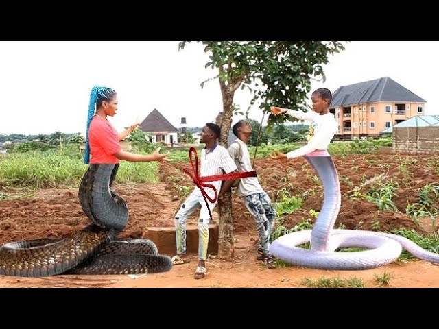 The Snake Wife 😱 (Full HD) | Mark Angel Comedy | Yawa Skits | OGB Recent | FunnyBros comedy