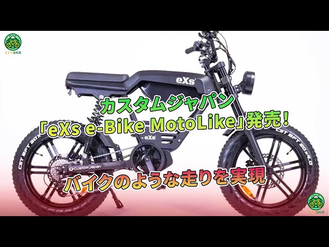 カスタムジャパン eXs 電動アシスト自転車 20インチ 絶版モデル☆ カスタムジャパン eXs 電動アシスト自転車 20インチ 絶版モデル