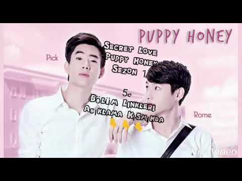 BL Dizi: Secret Love Puppy Honey 1 .Sezon 5.Bölüm Türkçe Altyazılı Link açıklamada