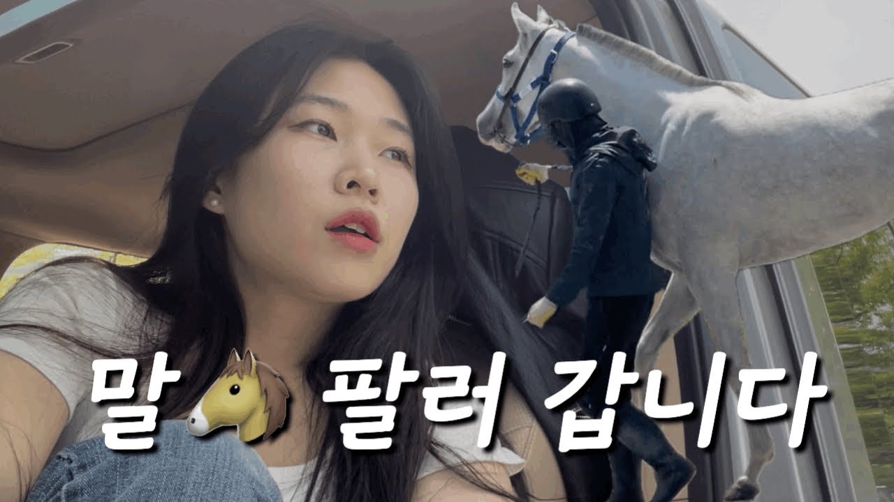 말🐴 팔러 경매장에 가요