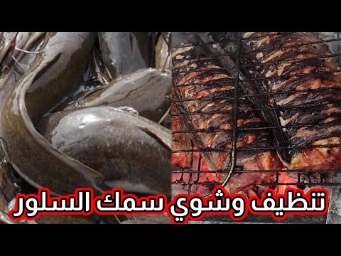 فيديو: كيف لطهي سمك السلور على الشواية