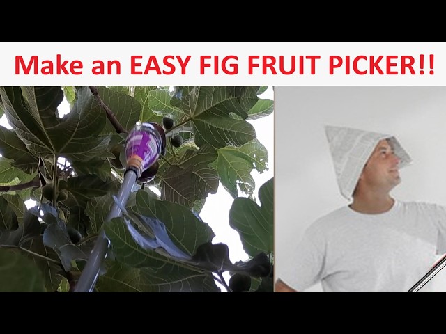 How to Make Fruit Picker: Easy DIY Guide for Perfect Harvests How to Make Fruit Picker: Easy DIY Guide for Perfect Harvests