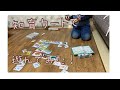 【知育遊び】【5歳】英語カードで遊んでみた