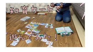 【知育遊び】【5歳】英語カードで遊んでみた