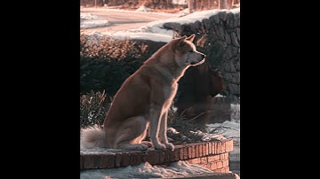 Thumbnail of "He didn't come back" - Hachi Edit | Камин - EMIN & JONY (slowed & reverb)