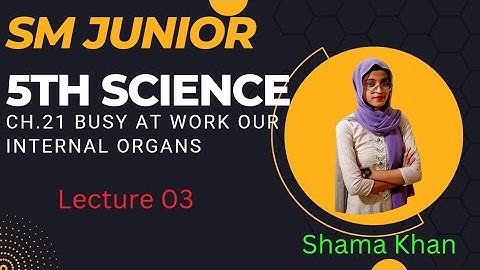 Class 5th | Science | Ch. 21 | Busy at work our Internal Organs | Lecture 3 | Maharashtra Board | SM