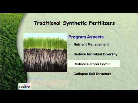 The Long-Term Consequences of Synthetic Fertilizer