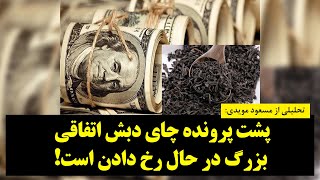 رصد- مسعود مویدی پشت‌ پرونده چای دبش اتفاقی بزرگ در حال رخ دادن است!