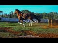 Dois Tombos - Chiquito e Bordoneio