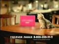 Реклама Whiskas набор Мой первый Whiskas (2005)