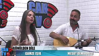 Mesut Demiroğlu - Belirsiz