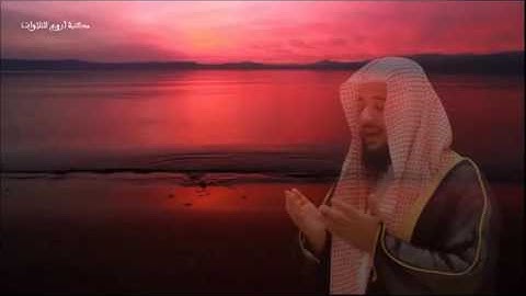 سورة غافر تلاوة القارئ إدريس أبكر  Surah Ghafir by Quari Idrees Abkar
