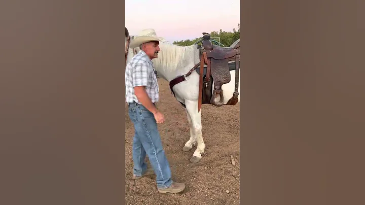 A quick tip before you get on your horse