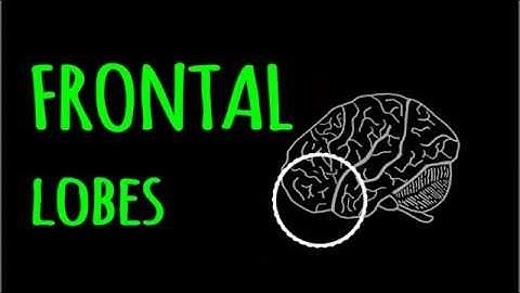 Brain Awareness Video Contest: Get Your Brain Fit