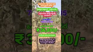 call -7993721415,#trendingreels#redsandalfarmlands#viralvedio #lowcost ##investments #realestate.
