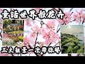 【香港攝影好去處】尋找隱世青苔石 |  進入童話世界般的美麗花卉 | 再遊玫瑰園 | 香港花卉展2021