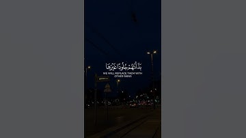 القارئ الشيخ ناصر القطامي،سورة النساء آية 56