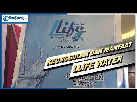 Video: Perbedaan Antara Air Hidrogen Dan Air Alkali