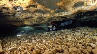 Ichetucknee Cave Diving | BLUE WORLD VLOG
