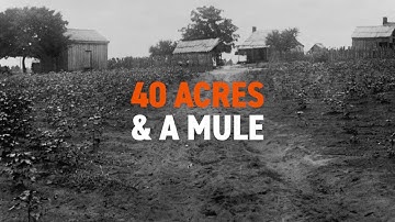 Land: Giving Rise to the Famous Phrase 40 Acres & a Mule