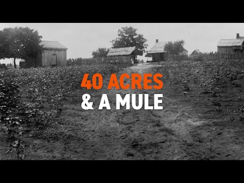 Vídeo: Qui va revertir 40 acres i una mula?