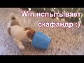 День тринадцатый. Win проводит испытание скафандра.