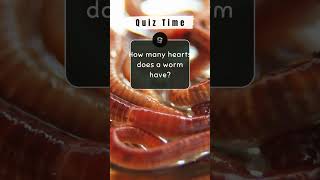 Do You Know Them All? #shorts #short  #knowledge #trivia #quiz #quiztime #explore #triviaquiz Wealth