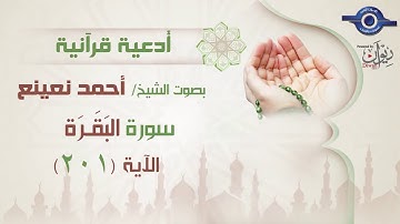 أحمد نعينع | سوره البقرة (201)