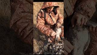 Goose Hunting /Охота На Гуся #Goosehunting #Hunting #Охота #Охотанагуся #Shorts