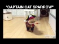 Pirate pet costume